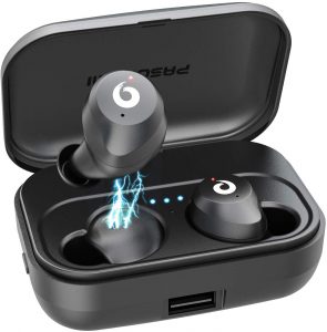 Pasonami Wireless Earbuds TWS